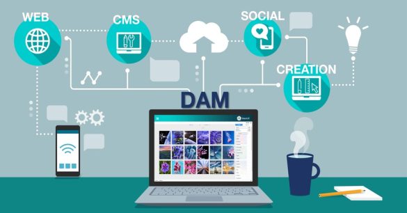 DAM with Other Systems