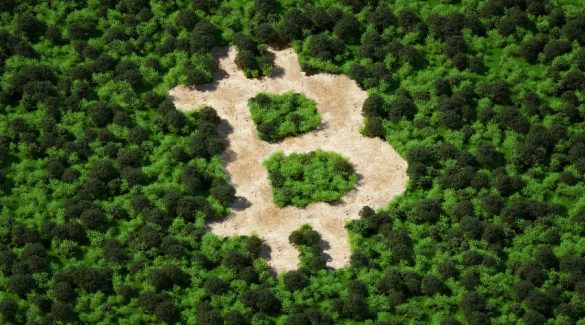Energy-efficient Blockchain Technologies for Green Cryptocurrency Solutions